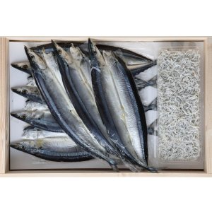 画像: 「新物」灰干さんま特大7枚+中干ちりめん150g(木箱入)