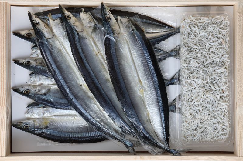 画像1: 「新物」灰干さんま特大７枚+中干ちりめん１５０g（木箱入）